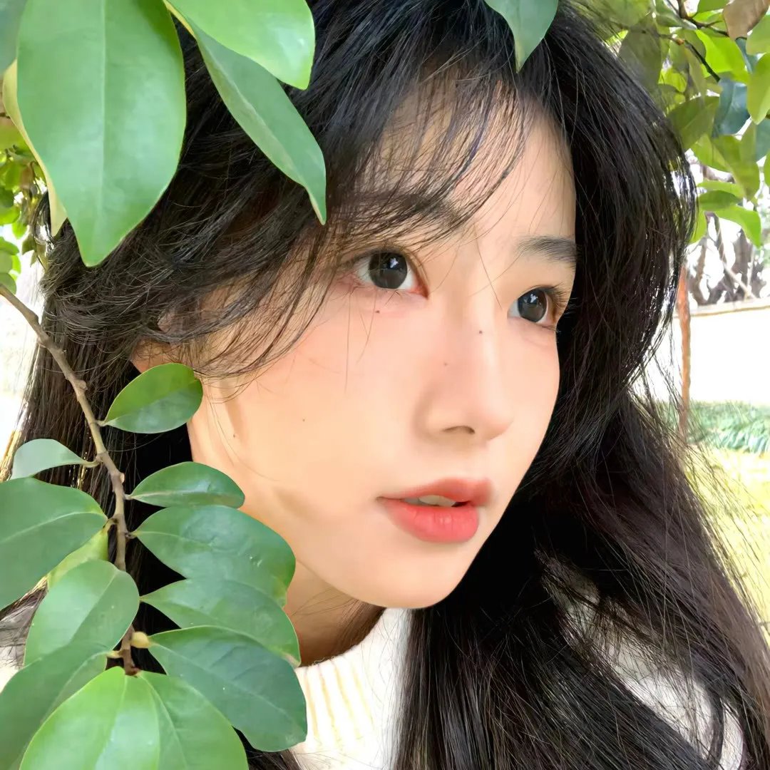 凭栏一片风云起